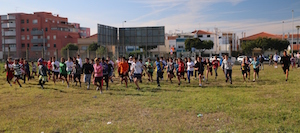 corta mato 3