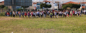 corta mato 4