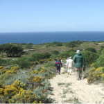 caminhadaArriba
